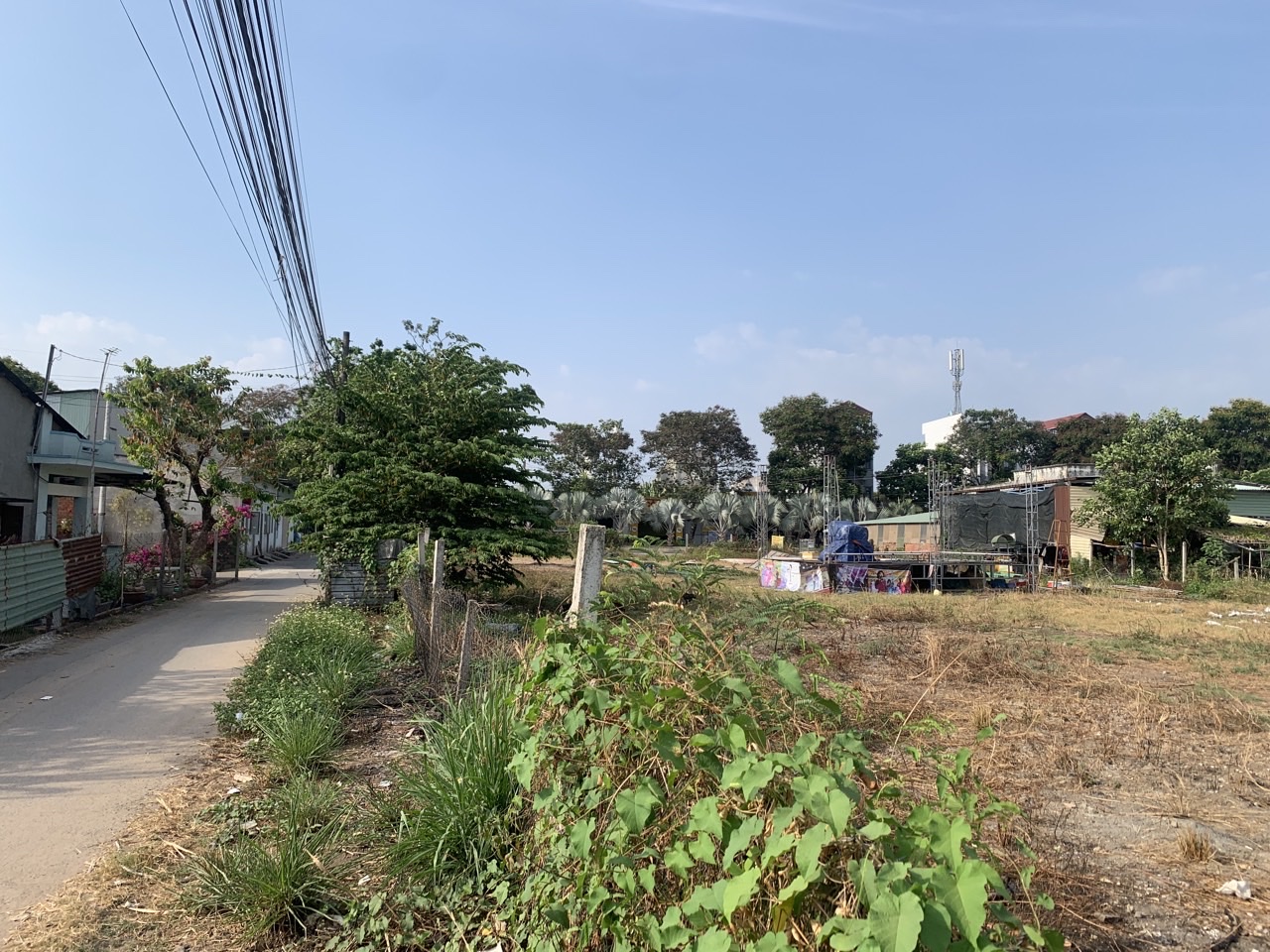 z6099237393468_5ff705efea4e0ee90f35c8909bdf5264