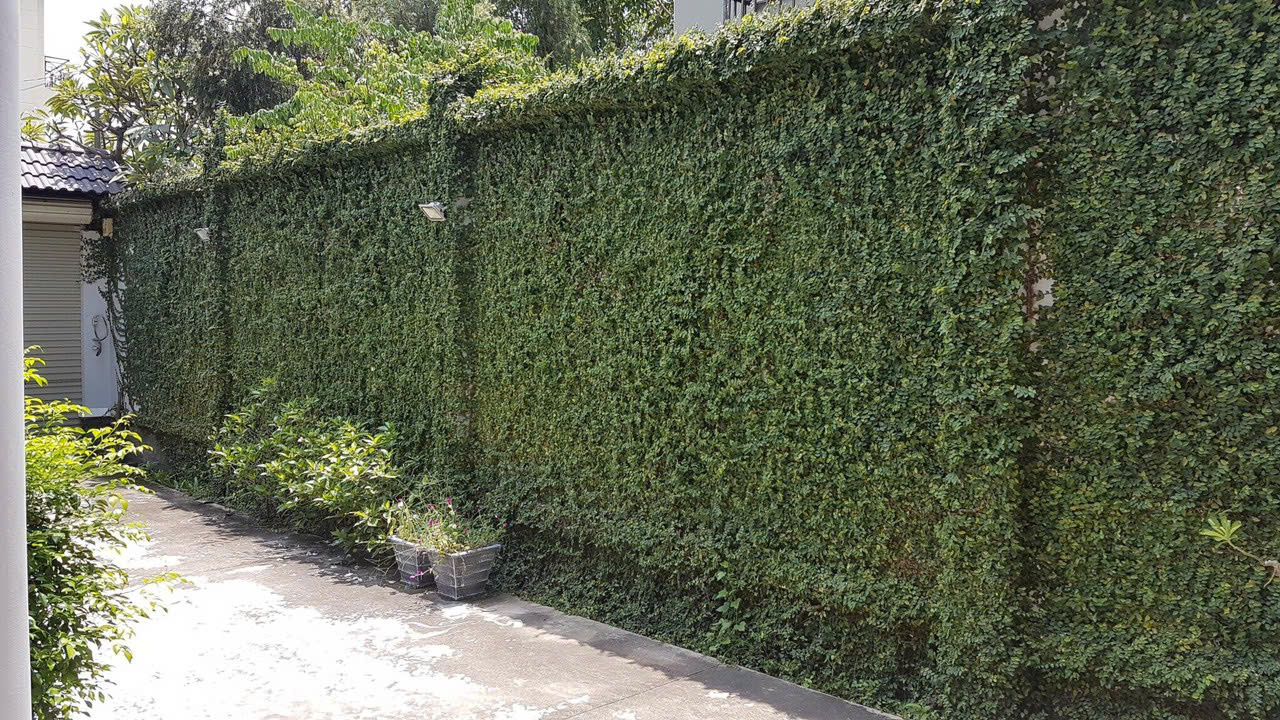 z6427480337710_1018bb2d3c6b4a925ac322e0e37e42d0